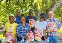 Les vergers de l’Ontario accueillent les cueilleurs cet automne