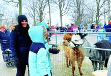 Winterfest : un rendez-vous familial au cœur de l’hiver à Stratford