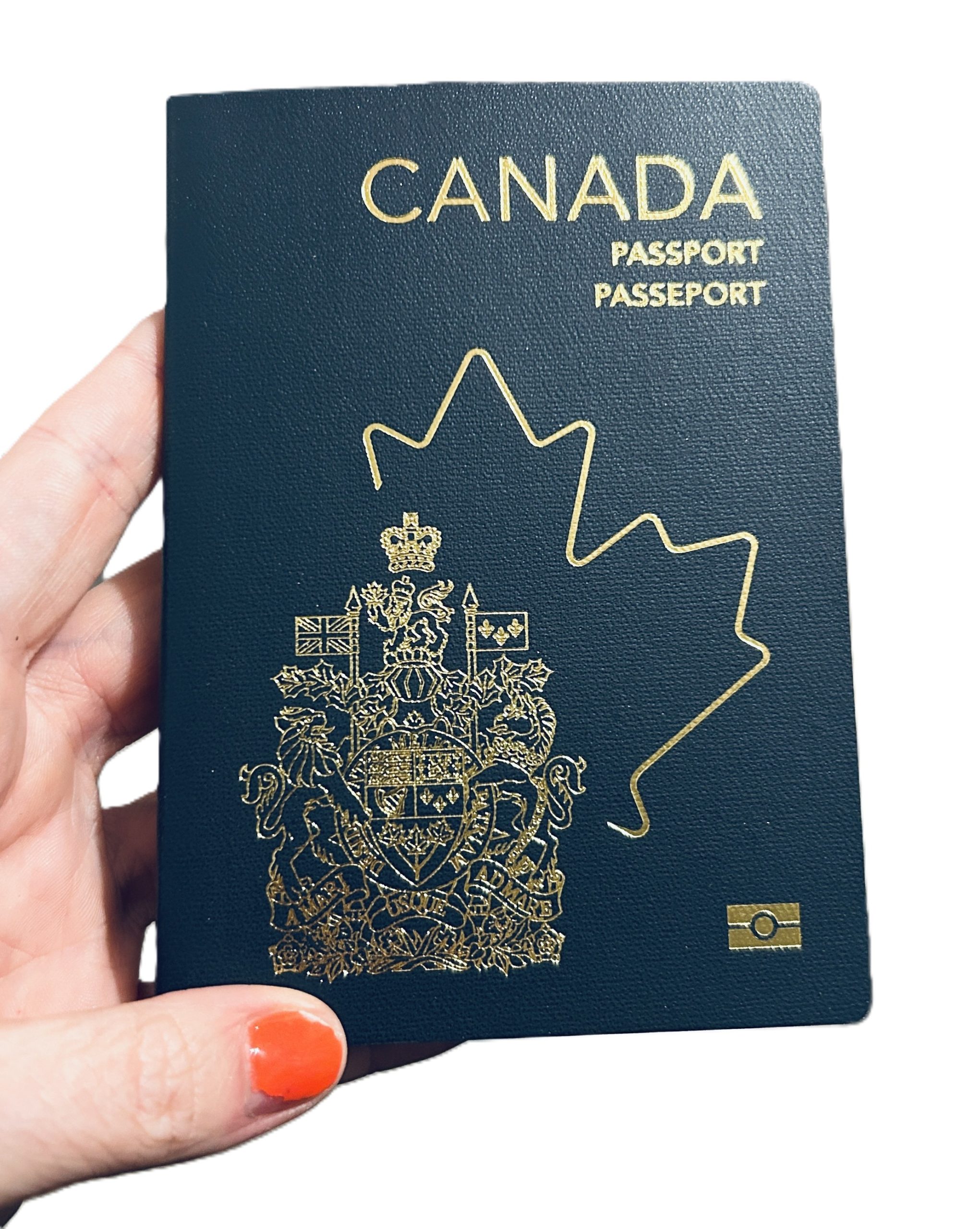 01- photo Alexia Grousson