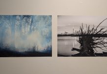 Festival CONTACT : 30 ans de photographie à Toronto